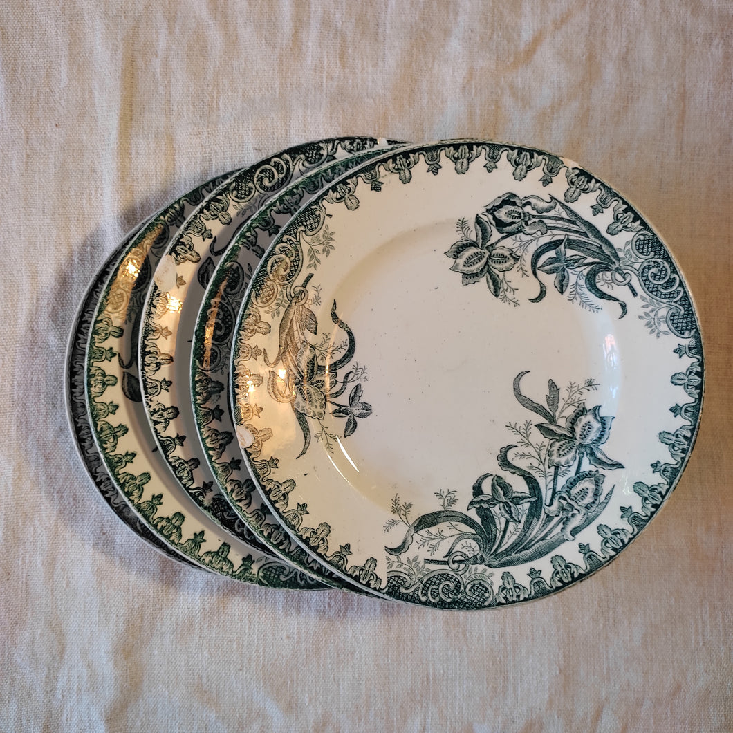 Assiettes plates Saint Amandinoise