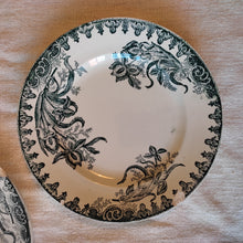 Charger l&#39;image dans la galerie, Assiettes plates Saint Amandinoise
